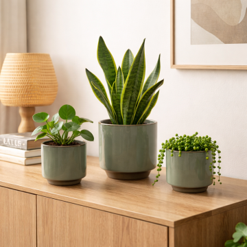 Ceramic pots 
