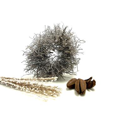 Dry branches 