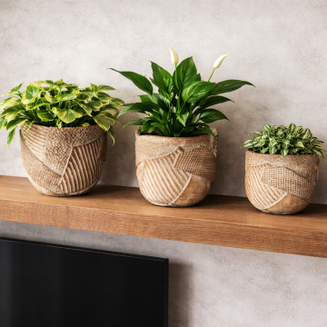 Cement pots