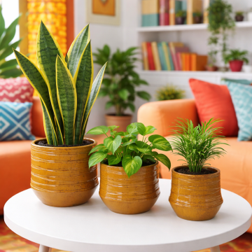 Flowerpots 