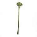 %30LFU WOODEN DECO cone spring green