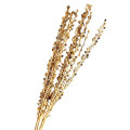 34TEA MOTI STICK 60cm natural 12pc