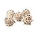 31TEA ARTICHOKE natural 10cm 5pc bg