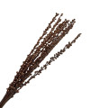 34TEA moti stick 60cm 12pc cupper