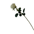 38HRN  SILK FLOWER single rose white H68
