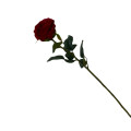 38HRN  SILK FLOWER single rose red H68