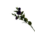 38HRN  SILK FLOWER eustoma darkpurple H7