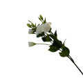 38HRN  SILK FLOWER eustoma white H77