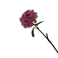 38HRN  SILK FLOWER hydrangea pink H60