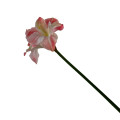 95HRK SILK FLOWER amaryllis pink H80