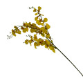 38HRN  SILK FLOWER orchid yellow H102