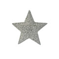 83HCK ROPE lights star white 30cm