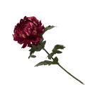 38HRN  SILK FLOWER chrysant purple H71