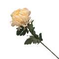 38HRN  SILK FLOWER chrysant cream H71