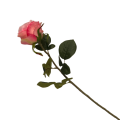 38HRN  SILK FLOWER single rose l.pink H6
