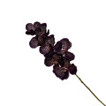 37ZLN SILK FLOWER Vanda brown E31