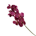 37ZLN SILK FLOWER Vanda  l. pink E29