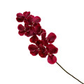 37ZLN SILK FLOWER Vanda pink E27