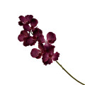 37ZLN SILK FLOWER Vanda d. pink E15