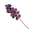 33ZLE SILK FLOWER Vanda l.purple E22