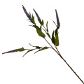 37ZLN SILK FLOWER Lysimachia purple H72
