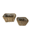 32YSN REED basket square L27 L20 set/2