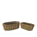 32YSN REED basket oval set/2