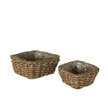 32YSN REED basket square L25 l20 set/2