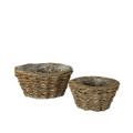 32YSN REED basket round large set/2