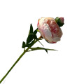 38HRN SILK FLOWER peony light pink H57