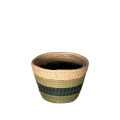 46LJN REED basket green/white H11 D15