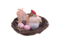 *%28TXV VOORJAAR kip in nest met eitjes