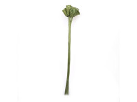 %30LFU WOODEN DECO cone spring green