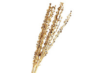 34TEA MOTI STICK 60cm natural 12pc