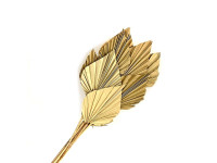 34TEA Palm Spear 50cm 10pc bunch naturel