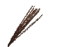 34TEA moti stick 60cm 12pc cupper