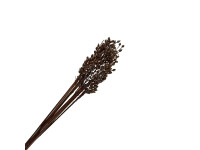 34TEA Moti Bunch 60cm 10pc bunch cupper