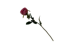 38HRN  SILK FLOWER single rose pink H68
