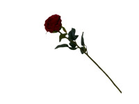 38HRN  SILK FLOWER single rose red H68