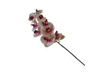 95HRK SILK FLOWER orchid light pink H87