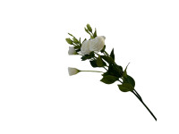 38HRN  SILK FLOWER eustoma white H77