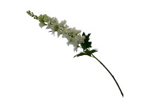 38HRN  SILK FLOWER delphinium white H102