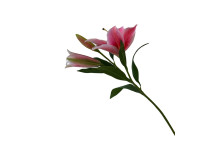 38HRN  SILK FLOWER lily hot pink H94