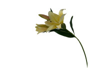 38HRN  SILK FLOWER lily yellow H94