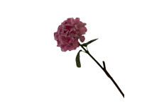 38HRN  SILK FLOWER hydrangea pink H60