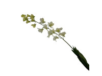 38HRN  SILK FLOWER orchid white H112