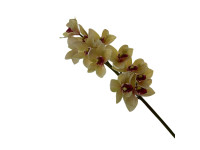 95HRK SILK FLOWER orchid greenyellow H55