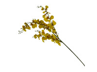 38HRN  SILK FLOWER orchid yellow H102