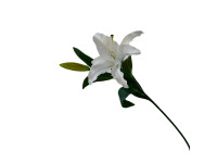 38HRN  SILK FLOWER lily white H72