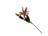 38HRN  SILK FLOWER lily pink H72